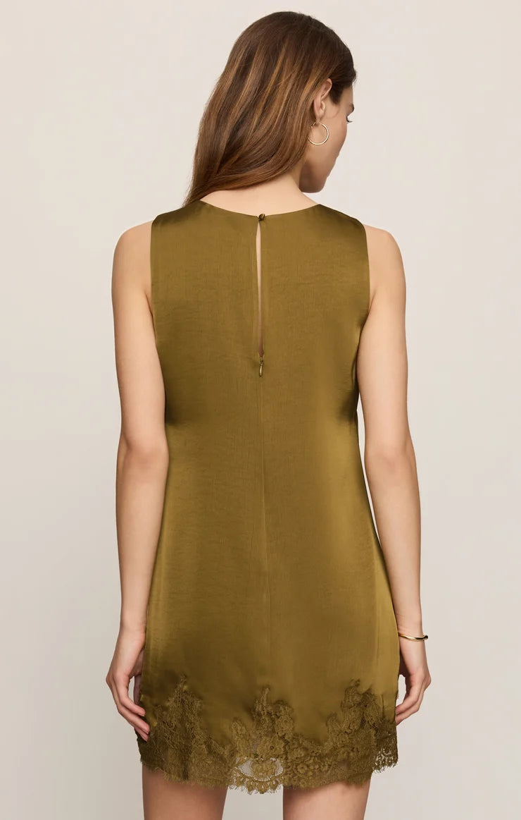 Meadow Muse Lace Dress